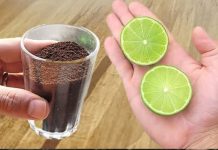 Imaćete mnogo više energije tokom dana – Evo nekoliko razloga zašto biste trebali svako jutro piti kafu sa limunom