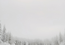 Beskućnica me zaustavila na ulici — njen šapat me zaledio