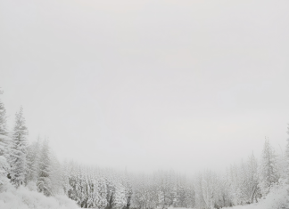 Beskućnica me zaustavila na ulici — njen šapat me zaledio