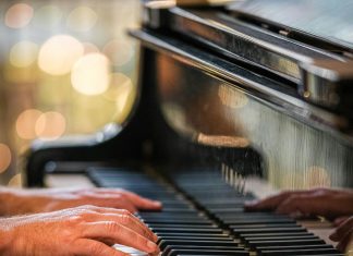 Tražila sam samo zalogaj hrane, a dobila nešto što nisam mogla ni sanjati