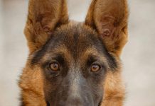 Bila sam obična putnica, ali se onda desilo nešto neočekivano