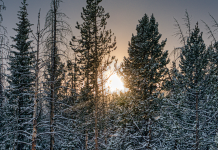 Jedan gest na hladnoći promijenio mi je cijeli dan