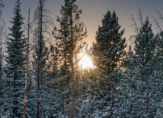 Jedan gest na hladnoći promijenio mi je cijeli dan
