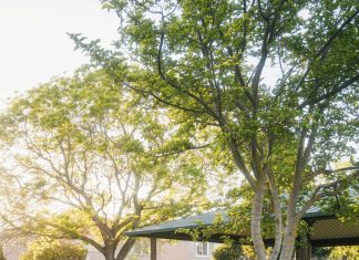 Komšinica mi je bacala smeće u dvorište, ali sam joj uzvratio pametno