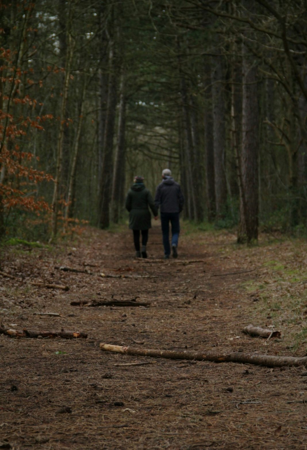 ole-kloth--REWi8gGFvE-unsplash