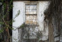 Dok sam bila u bolnici s djecom, pustila sam svekrvu u kuću – i doživjela šok