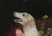 Rođak je naslijedio 100.000 eura, a meni je ostao pas — ali baka je imala plan