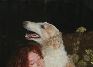 Rođak je naslijedio 100.000 eura, a meni je ostao pas — ali baka je imala plan