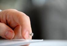 Vratio sam izgubljeni prsten, a onda su mi pokucali na vrata