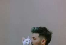 Komšija je nestao i ostavio mi mačku — ogrlica je skrivala tajnu