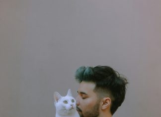 Komšija je nestao i ostavio mi mačku — ogrlica je skrivala tajnu