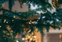 Neko Je Uništio Naše Božićne Ukrase, A Trag Me Odveo Do Neočekivane Osobe