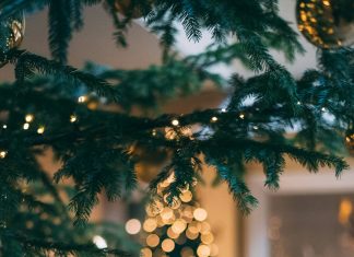 Neko Je Uništio Naše Božićne Ukrase, A Trag Me Odveo Do Neočekivane Osobe