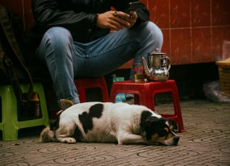 Pomogla sam nepoznatom čovjeku, a onda me šef pozvao na razgovor