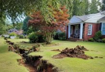 Komšinica mi je uništila dvorište — ali ono što se desilo poslije niko nije očekivao