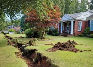 Komšinica mi je uništila dvorište — ali ono što se desilo poslije niko nije očekivao