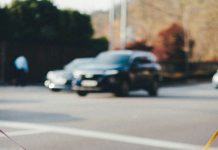 Moji psi ne mogu hodati bez kolica — komšinica ih je nazvala odvratnima, ali istina ju je brzo promijenila