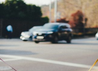 Moji psi ne mogu hodati bez kolica — komšinica ih je nazvala odvratnima, ali istina ju je brzo promijenila