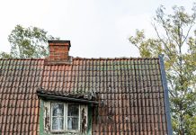 Htjela je razotkriti izgovor svog radnika — ali je otkrila nešto što nije očekivala