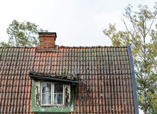 Htjela je razotkriti izgovor svog radnika — ali je otkrila nešto što nije očekivala
