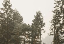 Čovjek u luksuznom automobilu zaustavio se pored majke i dvoje djece — ono što je rekao sve je šokiralo