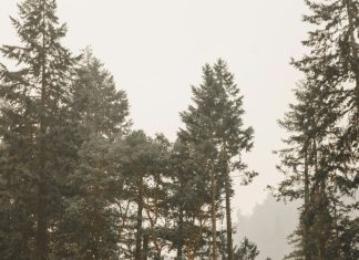 Čovjek u luksuznom automobilu zaustavio se pored majke i dvoje djece — ono što je rekao sve je šokiralo