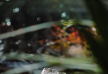 Moj bivši muž me ismijao pred svojom novom djevojkom u restoranu — a onda sam mu dala kovertu koja mu je promijenila izraz lica