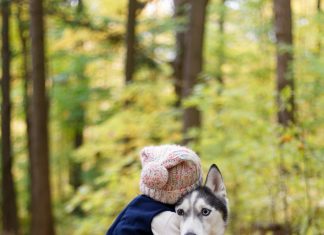 Moj brat blizanac je poginuo spašavajući me iz požara — 31 godinu kasnije čovjek koji izgleda isto kao on pokucao je na moja vrata.