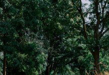 Sedam godina sam slao novac zetu — dok mi unuka nije šapnula istinu