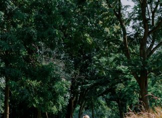 Sedam godina sam slao novac zetu — dok mi unuka nije šapnula istinu