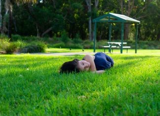 Jedan trenutak u našem dvorištu pokrenuo je priču koju je kamera kasnije razotkrila