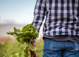 Nakon djedove smrti, sve je izgledalo izgubljeno — dok se nije pojavila istina