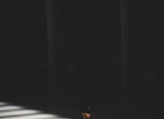 Kada sam ušao u tu kuću, shvatio sam da je jedno dijete preuzelo preveliku odgovornost