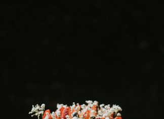 Mladoženja mi je gurnuo lice u tortu pred 120 gostiju — ali ono što je moj brat uradio sekundu kasnije utišalo je cijelu salu.