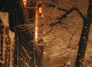 Roditelji su me izbacili iz kuće jedne zimske noći — a sljedećeg jutra su me zvali 83 puta