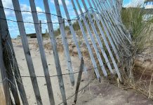 Razbio Je Moju Ogradu I Otišao — Ali Ono Što Sam Sutradan Vidio U Dvorištu Me Šokiralo