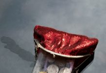 Novac je nestajao iz moje torbe — kada sam pogledala snimak kamere, nisam mogla vjerovati ko ga uzima.