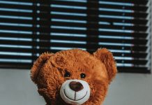 Kupio sam kćerki medu na buvljaku — godinama kasnije otkrio sam šta je sakrila u njemu