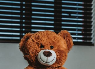 Kupio sam kćerki medu na buvljaku — godinama kasnije otkrio sam šta je sakrila u njemu