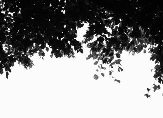 Proslava godišnjice postala je nešto sasvim drugo