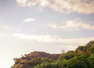 Postala sam staratelj pet sestara — ali nisam očekivala očev povratak