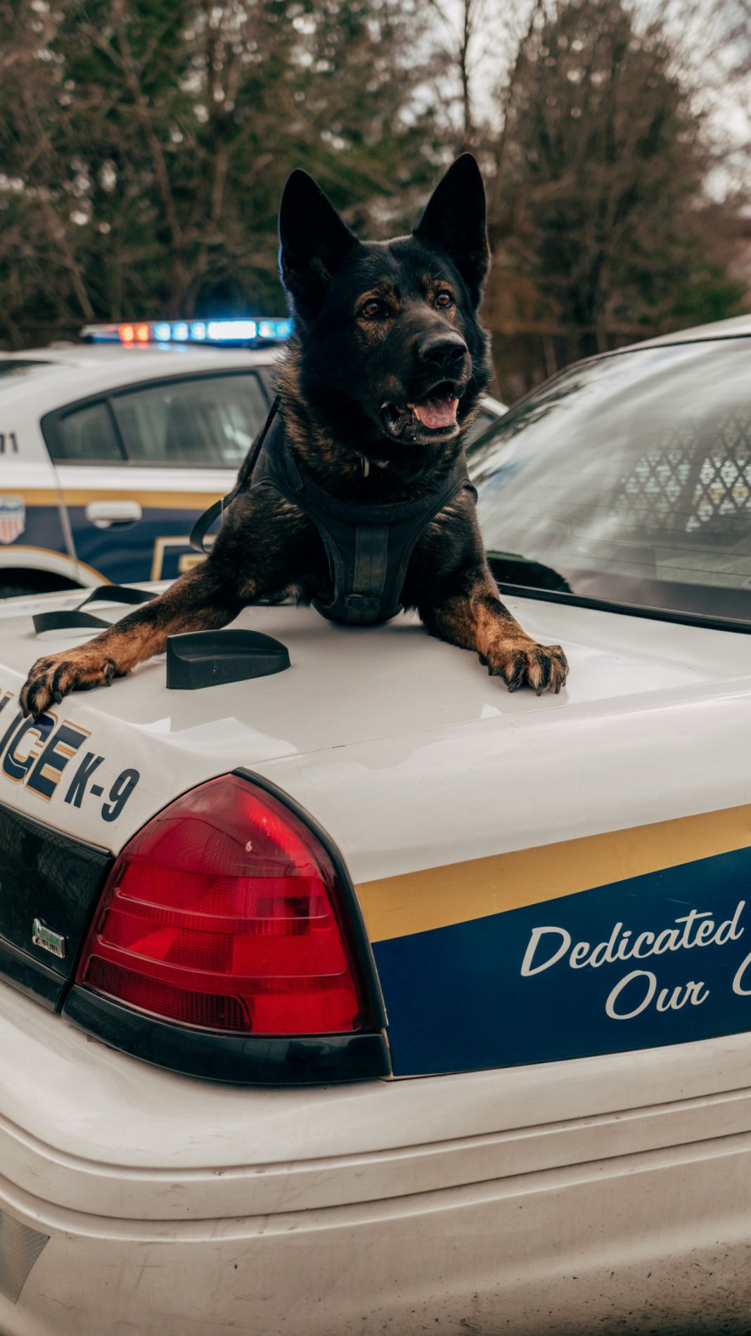 martin-podsiad-M8ZT5NJFX58-unsplash