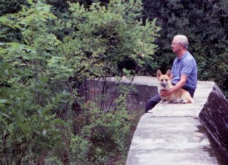 Dala sam besplatnu večeru starcu i njegovom malom psu — sljedećeg jutra me čekalo pismo koje mi je promijenilo život