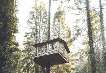 Čula sam glas svog pokojnog muža iz kućice na drvetu — ono što sam tamo pronašla slomilo mi je srce