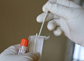 Jedan rezultat DNK testa otvorio je vrata prošlosti