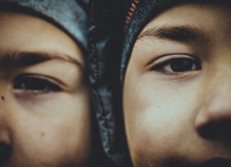 Zaustavio sam auto na seoskom putu — a ono što sam vidio promijenilo je moj život