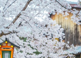 Brinula Sam O Staroj Komšinici — A Nakon Njene Smrti Policija Je Pokucala Na Moja Vrata