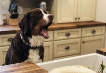 Jedan običan dan pretvorio se u nešto potpuno neočekivano