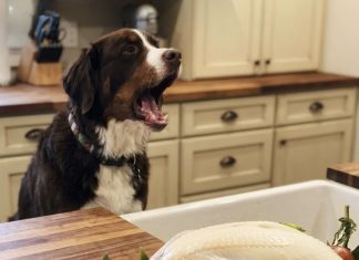 Jedan običan dan pretvorio se u nešto potpuno neočekivano