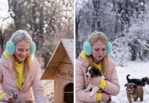 Uništila je kućicu za štence — ali nije znala šta je ostavila iza sebe